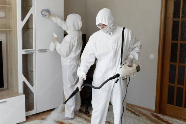 Best Professional Mold Removal  in Wesson, MS