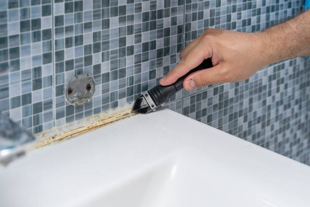 Best Attic Mold Removal  in Wesson, MS